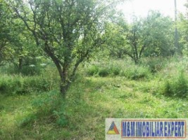 teren-intravilan-de-vanzare-2367-mp-in-flamanda-campulung-muscel-arges-1