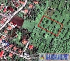 teren-intravilan-de-vanzare-2367-mp-in-flamanda-campulung-muscel-arges-10