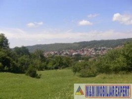 teren-intravilan-de-vanzare-9200-mp-in-flamanda-campulung-muscel-arges