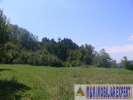 teren-intravilan-de-vanzare-9200-mp-in-flamanda-campulung-muscel-arges-4