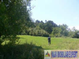 teren-intravilan-de-vanzare-9200-mp-in-flamanda-campulung-muscel-arges-5