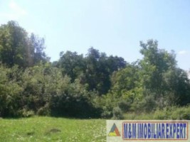 teren-intravilan-de-vanzare-9200-mp-in-flamanda-campulung-muscel-arges-7