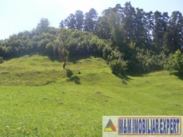 teren-intravilan-de-vanzare-9200-mp-in-flamanda-campulung-muscel-arges-8