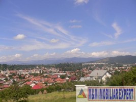 teren-intravilan-de-vanzare-9200-mp-in-flamanda-campulung-muscel-arges-10