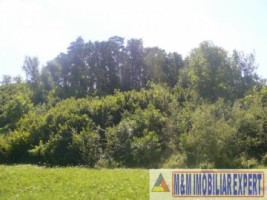 teren-intravilan-de-vanzare-9200-mp-in-flamanda-campulung-muscel-arges-11