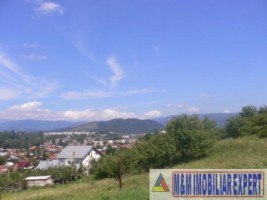 teren-intravilan-de-vanzare-9200-mp-in-flamanda-campulung-muscel-arges-12