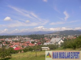 teren-intravilan-de-vanzare-9200-mp-in-flamanda-campulung-muscel-arges-14
