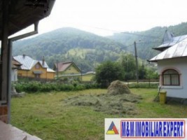 vila-6-camere-teren-6000-mp-pensiune-rucar-arges-19