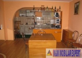 vila-6-camere-teren-6000-mp-pensiune-rucar-arges-6