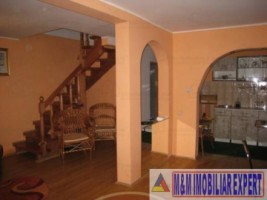 vila-6-camere-teren-6000-mp-pensiune-rucar-arges-8