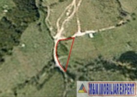 teren-extravilan-4024-mp-de-vanzare-in-rucar-arges