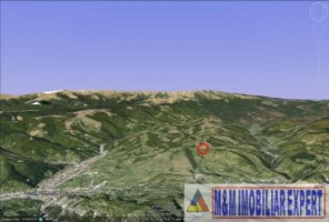 teren-extravilan-4024-mp-de-vanzare-in-rucar-arges-1