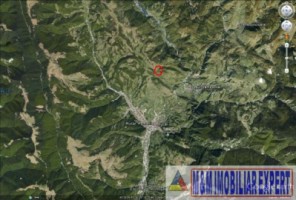 teren-extravilan-4024-mp-de-vanzare-in-rucar-arges-2