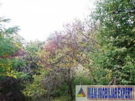 vandut-2