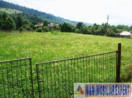 teren-intravilan-3839-mp-de-vanzare-tarina-leresti-arges