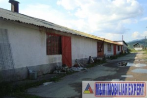 teren-platforma-industriala-13-ha-intravilan-campulung-muscel-grui-arges-6