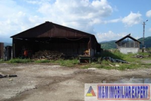 teren-platforma-industriala-13-ha-intravilan-campulung-muscel-grui-arges-11
