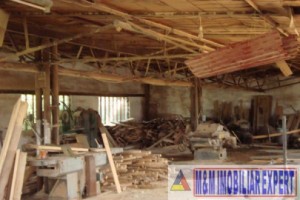 teren-platforma-industriala-13-ha-intravilan-campulung-muscel-grui-arges-12