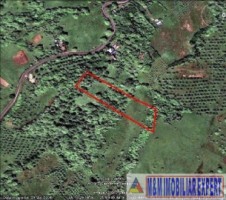 teren-1151-mp-alte-7-loturi-intra-extravilan-campulung-muscel-calea-targovistei-arges