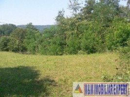 teren-extravilan-2000-mp-de-vanzare-in-albestii-de-muscel-candesti