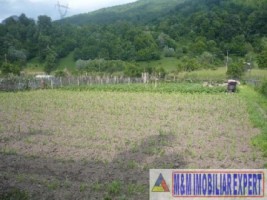 teren-intravilan-590-mp-de-vanzare-in-dragoslavele-arges