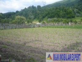 teren-intravilan-590-mp-de-vanzare-in-dragoslavele-arges-1