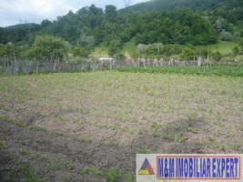 teren-intravilan-590-mp-de-vanzare-in-dragoslavele-arges-2