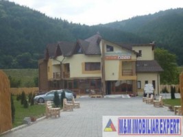 teren-intravilan-15-ha-de-vanzare-in-dragoslavele-arges