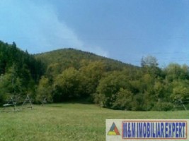 teren-intravilan-15-ha-de-vanzare-in-dragoslavele-arges-1