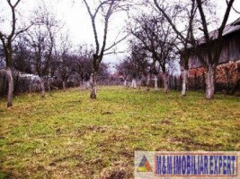 teren-intravilan-800-mp-de-vanzare-in-aninoasa-arges