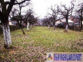 teren-intravilan-800-mp-de-vanzare-in-aninoasa-arges-1