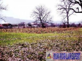 teren-intravilan-800-mp-de-vanzare-in-aninoasa-arges-4