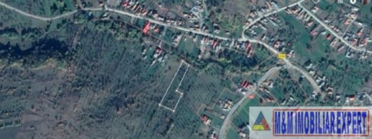 teren-intravilan-800-mp-de-vanzare-in-aninoasa-arges-6