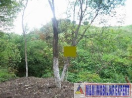 teren-intravilan-de-vanzare-1000-mp-in-flamanda-campulung-muscel-arges