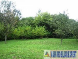 teren-intravilan-de-vanzare-3900-mp-in-apa-sarata-campulung-muscel-arges