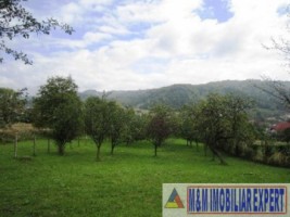 teren-intravilan-de-vanzare-3900-mp-in-apa-sarata-campulung-muscel-arges-1