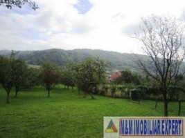 teren-intravilan-de-vanzare-3900-mp-in-apa-sarata-campulung-muscel-arges-2