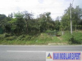 teren-intravilan-de-vanzare-3900-mp-in-apa-sarata-campulung-muscel-arges-7