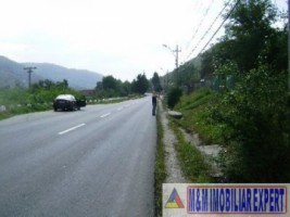 teren-intravilan-de-vanzare-3900-mp-in-apa-sarata-campulung-muscel-arges-11