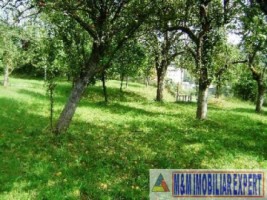 teren-intravilan-de-vanzare-3900-mp-in-apa-sarata-campulung-muscel-arges-4