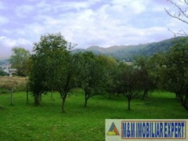 teren-intravilan-de-vanzare-3900-mp-in-apa-sarata-campulung-muscel-arges-5