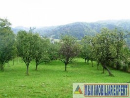 teren-intravilan-de-vanzare-3900-mp-in-apa-sarata-campulung-muscel-arges-6