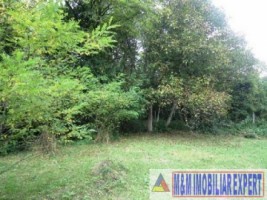teren-intravilan-de-vanzare-3900-mp-in-apa-sarata-campulung-muscel-arges-8