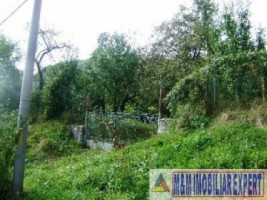 teren-intravilan-de-vanzare-3900-mp-in-apa-sarata-campulung-muscel-arges-9