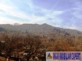 vand-teren-extravilan-8000-mp-in-bughea-de-jos-arges