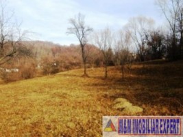 vand-teren-extravilan-8000-mp-in-bughea-de-jos-arges-1