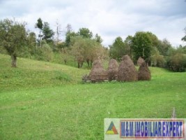teren-intravilan-6000-mp-de-vanzare-in-albestii-de-muscel-candesti-arges-5