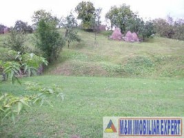 teren-intravilan-6000-mp-de-vanzare-in-albestii-de-muscel-candesti-arges-6