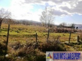 teren-intravilan-de-vanzare-15-ha-pe-calea-pietroasa-campulung-muscel-arges