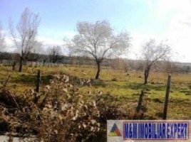 teren-intravilan-de-vanzare-15-ha-pe-calea-pietroasa-campulung-muscel-arges-1